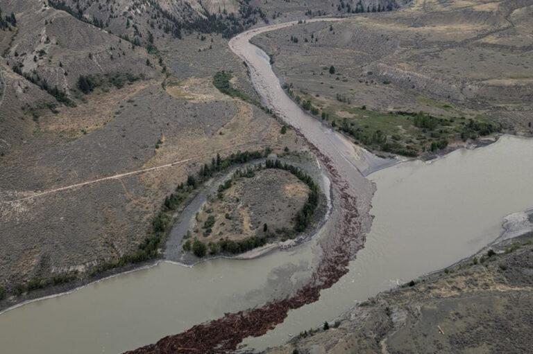 Landslide in British Columbia | Government seeks to help salmon swim up the Chilcotin River