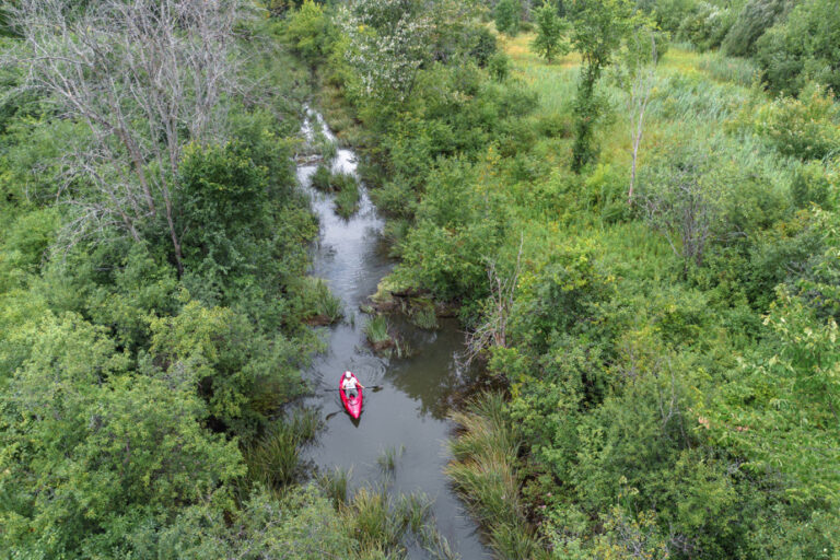 Life of the Rivers | Protecting the Last River on the Island of Montreal