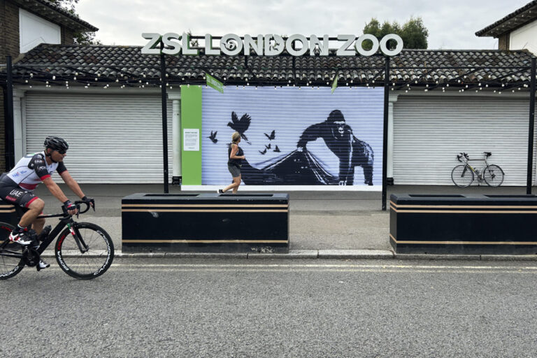 London Zoo removes Banksy’s latest work for safekeeping