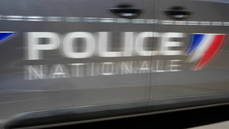 Man stabbed to death in Toulouse, his partner taken into custody