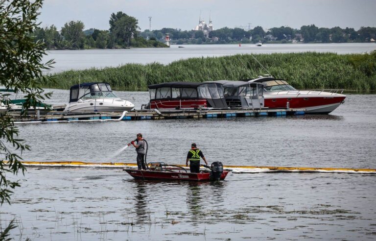 Montreal asks SPVM for help to identify source of motor oil spill in Pointe-aux-Trembles