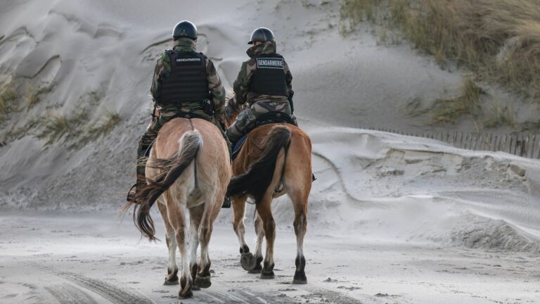 More than 70 migrants, including a dozen children, arrested on the Picardy coast, in the Somme