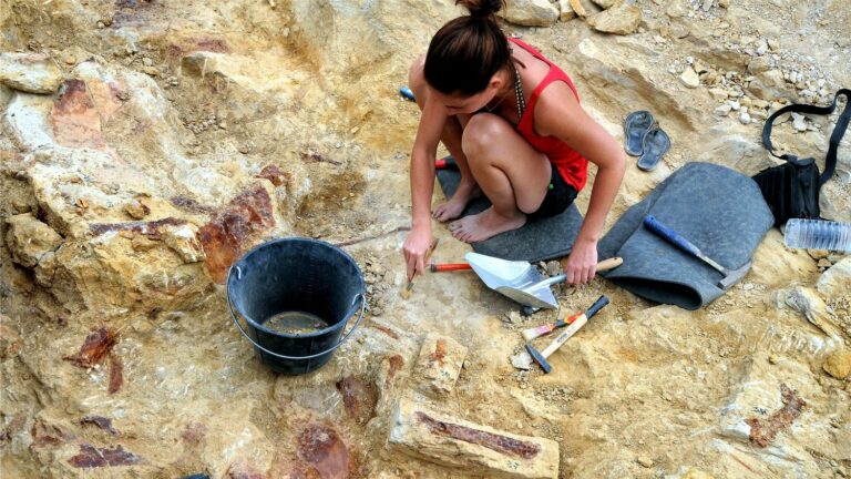 Nearly 80 dinosaur footprints, 200 million years old, found in Lozère