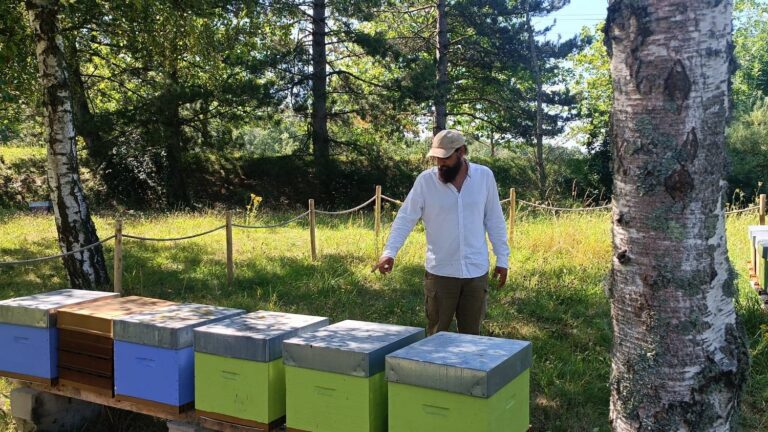 New catastrophic season for French beekeepers