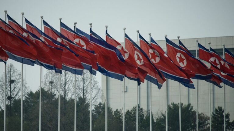 North Korean flees country by sea to reach South