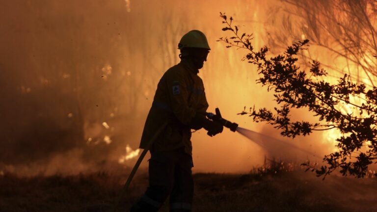 On the Portuguese island of Madeira, a fire has ravaged at least 5,000 hectares of vegetation