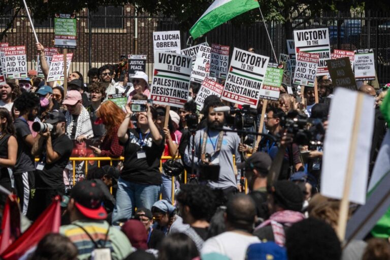 Opposition to Gaza War | Protesters Break Security Barrier at Democratic National Convention