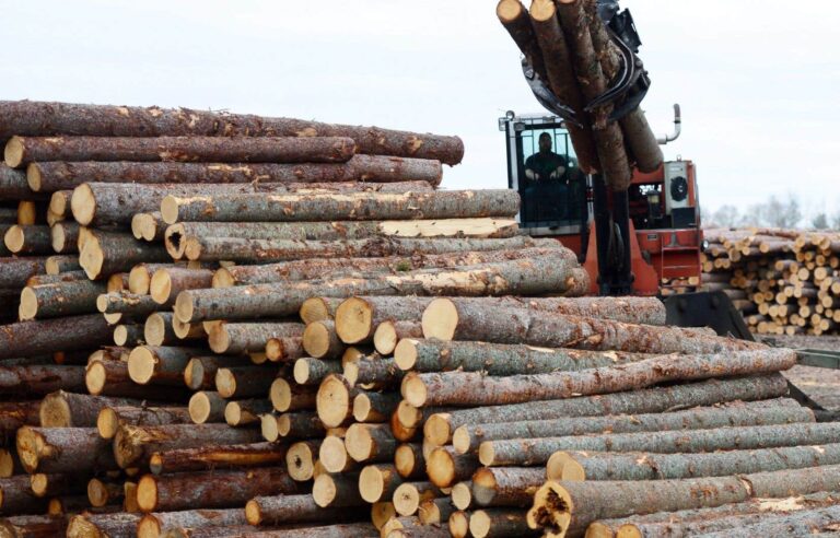 Ottawa denounces increase in US customs duties on Canadian softwood lumber