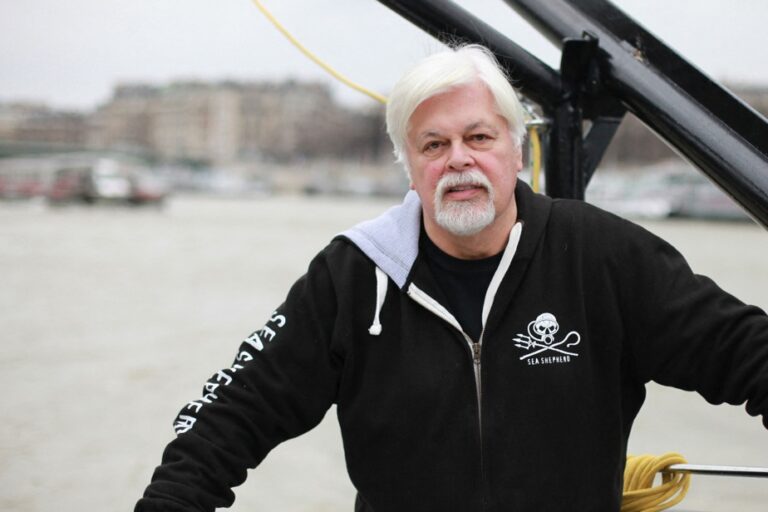 Paul Watson detained | Activist before Greenlandic judge