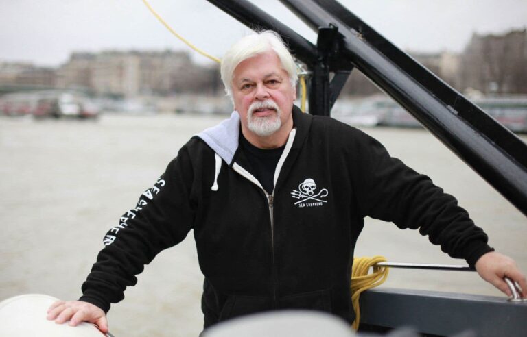 Paul Watson, the eco-pirate who is making waves