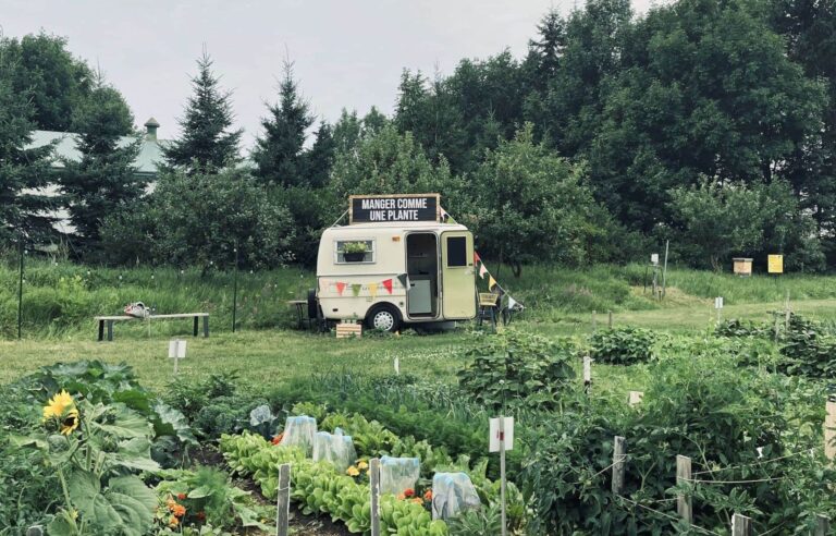 Plants as a breeding ground for performance art in La Pocatière