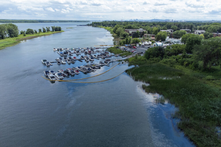 Pollutant spill in Pointe-aux-Trembles | Montreal calls on the SPVM to identify the source of the oil spill