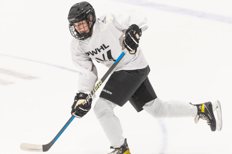 Professional Women’s Hockey League | Several Quebec women in precarious situations