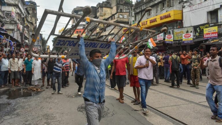 Protest against rape and murder of doctor in India turns into brawl