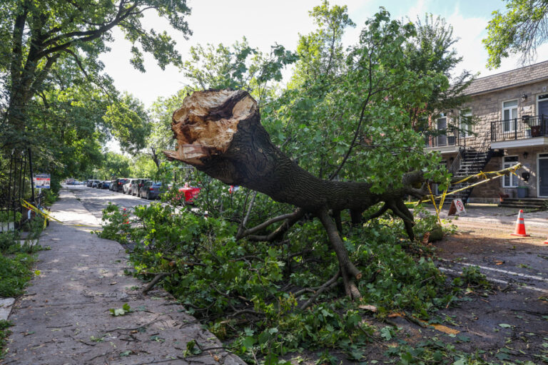 Remnants of Storm Debby | 1,300 people isolated, 300 evacuated