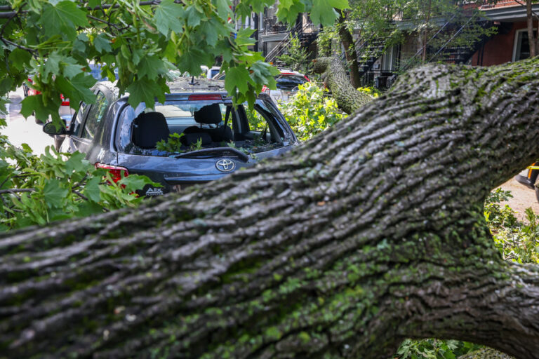 Remnants of Storm Debby | More than 85,000 customers still without power in Quebec