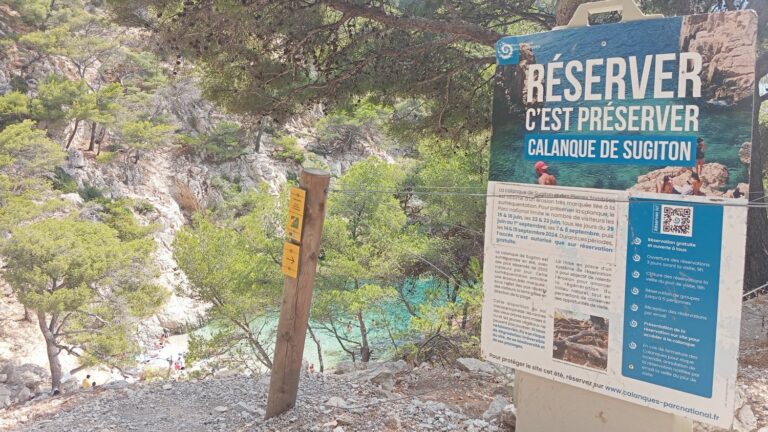 Report “Conditions met to have new trees”: in the Sugiton cove, quotas against overtourism are starting to have an effect