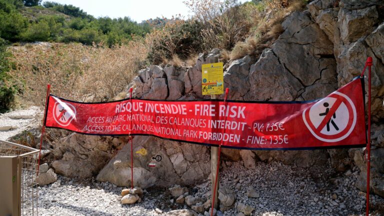 Risk of forest fires: many forest areas closed on Wednesday in several departments in the south of France