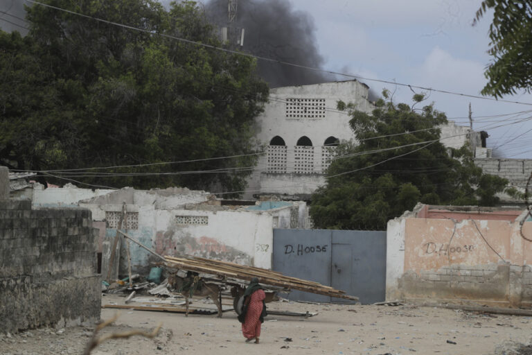 Somalia | At least 37 dead in a Shebab attack in Mogadishu