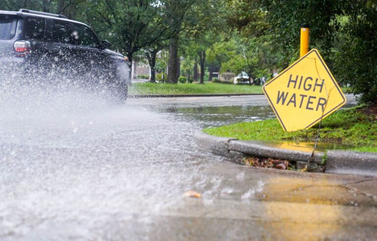 Storm Debby kills several in southeastern United States