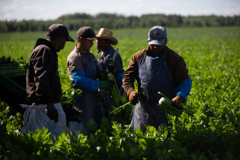 The Press in Halifax | Ottawa reduces the number of temporary foreign workers