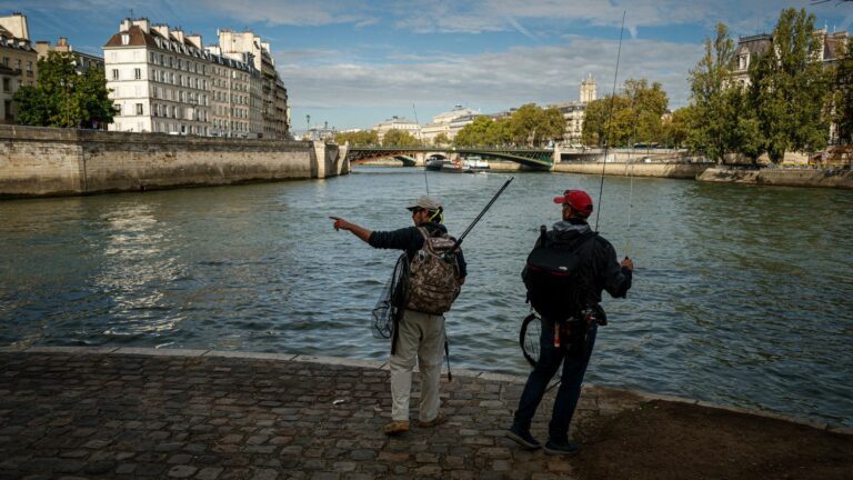 Thanks to its decontamination, fishermen are observing the return of biodiversity in the Seine