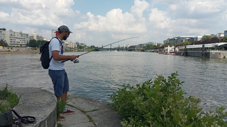 Thanks to its decontamination for the Paris 2024 Olympic Games, fishermen are observing the return of biodiversity in the Seine