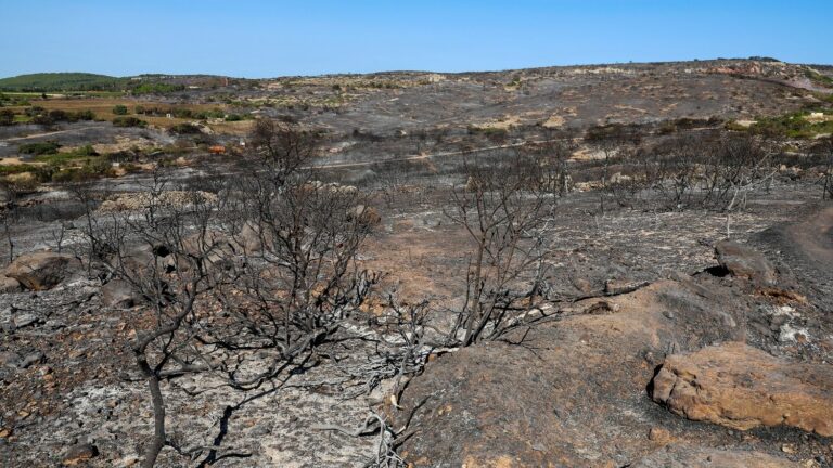 The Gardiole massif in Hérault, affected by the fire which ravaged 320 hectares, is closed to visitors until September 1st.