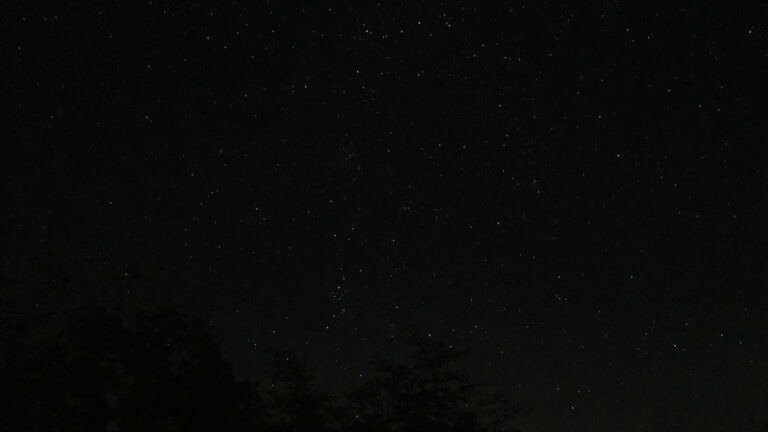 The Perseids, the open-air night show