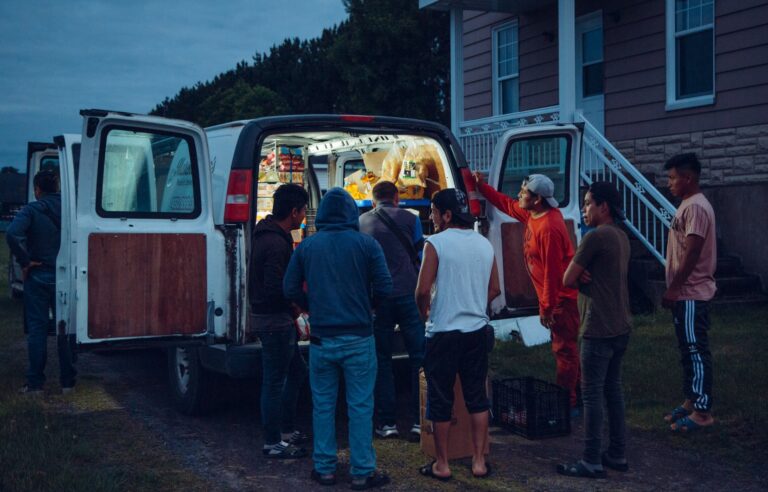 The farm tour of the Latino Market vans through the eyes of Valérian Mazataud