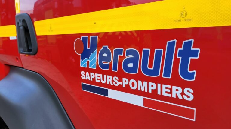 The fire between Gigean and Frontignan in Hérault is stopped, 320 hectares covered