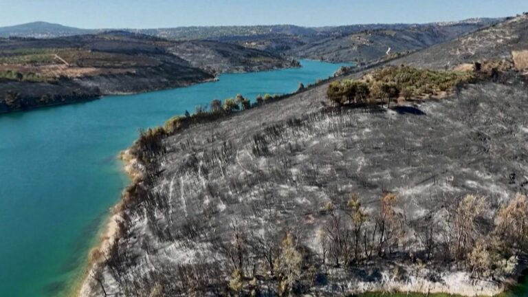 The landscapes devastated by the flames desolate the inhabitants