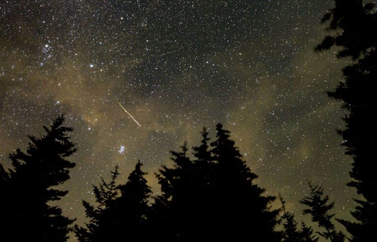 The return of the Perseids | Le Devoir