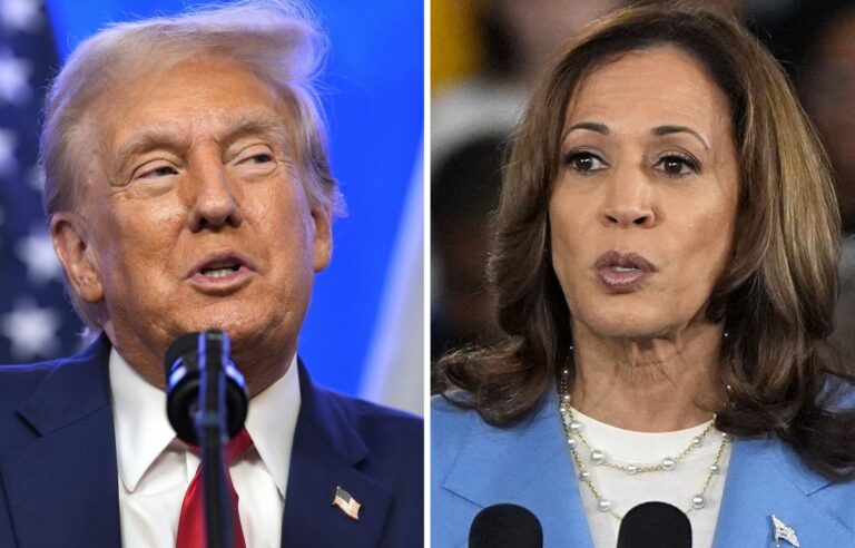 US Elections: Donald Trump and Kamala Harris, vague and interventionist