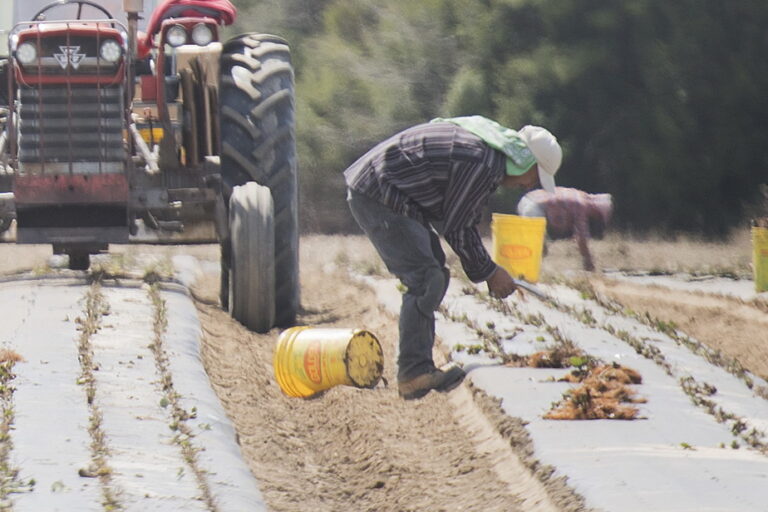 United Nations Report | Canada’s Foreign Workers Compared to Modern Slaves