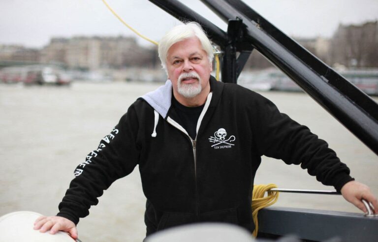 Whaling: Japan requests extradition of Paul Watson, detained in Greenland