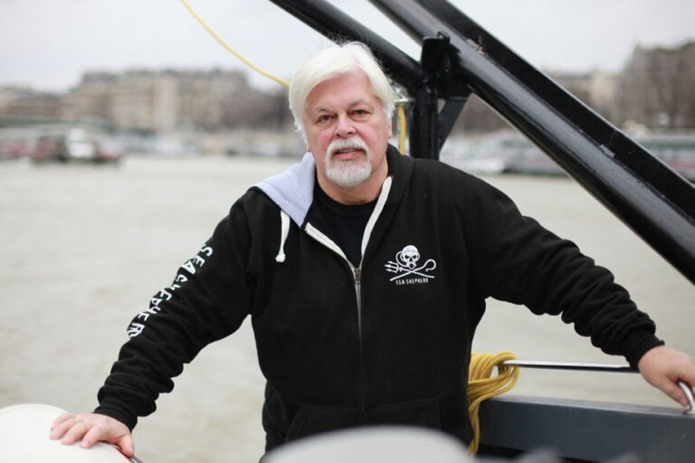 Whaling | Japan seeks extradition of Paul Watson, detained in Greenland