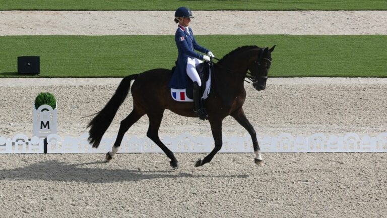 to Bowie’s “Let’s Dance” or Stromae’s “Alors on danse”, Pauline Basquin and her horse swung at the dressage competition