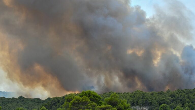 160 firefighters still mobilized all night “to prevent there being any resumptions”, indicates the sub-prefect of Aude