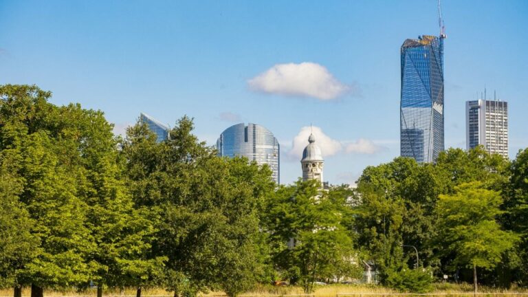 A body found buried in the Bois de Boulogne has been identified as that of a 19-year-old student who disappeared on Friday