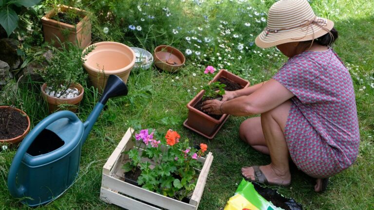 A new type of potting soil captures moisture from the air and moistens the soil with it