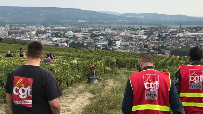 A year after a series of scandals, the Champagne harvest is under pressure to improve the living conditions of seasonal workers