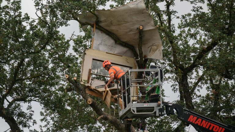 A69 construction site: Tarn prefecture calls on “opponents to come to their senses and come down from the trees they are illegally occupying”