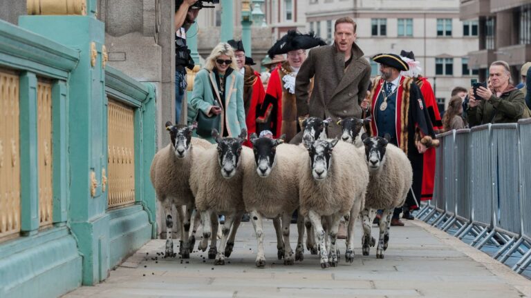 Actor Damian Lewis acts as a shepherd in London to perpetuate a medieval British tradition