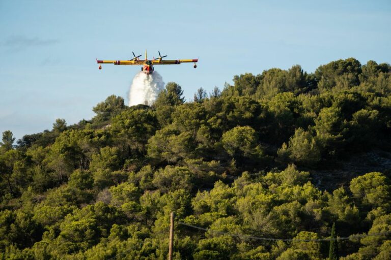 Areas of Hérault and Aude classified red for forest fires, high risk in the Pyrénées-Orientales on Saturday