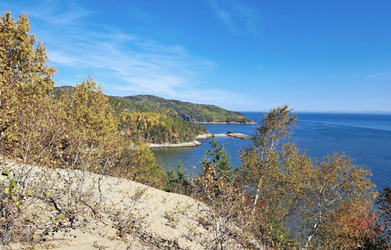 BAPE invites Legault government to “review” its national park project for the Tadoussac dunes