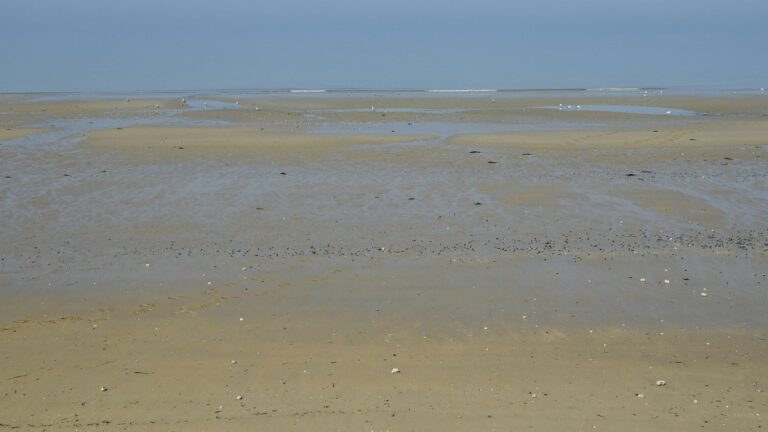 Bales of cocaine found on the beaches of Courseulles-sur-mer and Graye-sur-mer