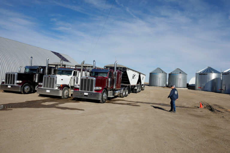 Beijing to launch anti-dumping investigation into Canadian rapeseed