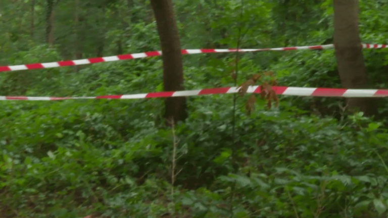 Body of a student found in the Bois de Boulogne