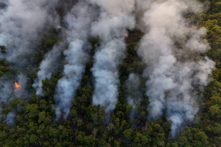 Brazil | Forest fires hit Brasilia National Park